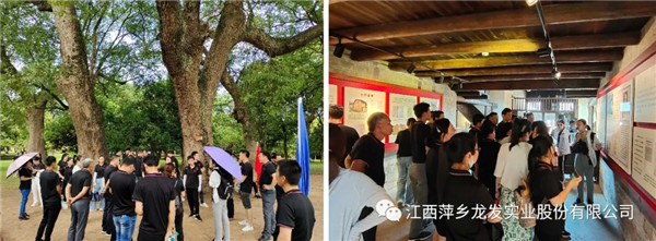 1625559242316936.jpg 640.webp (10).jpg